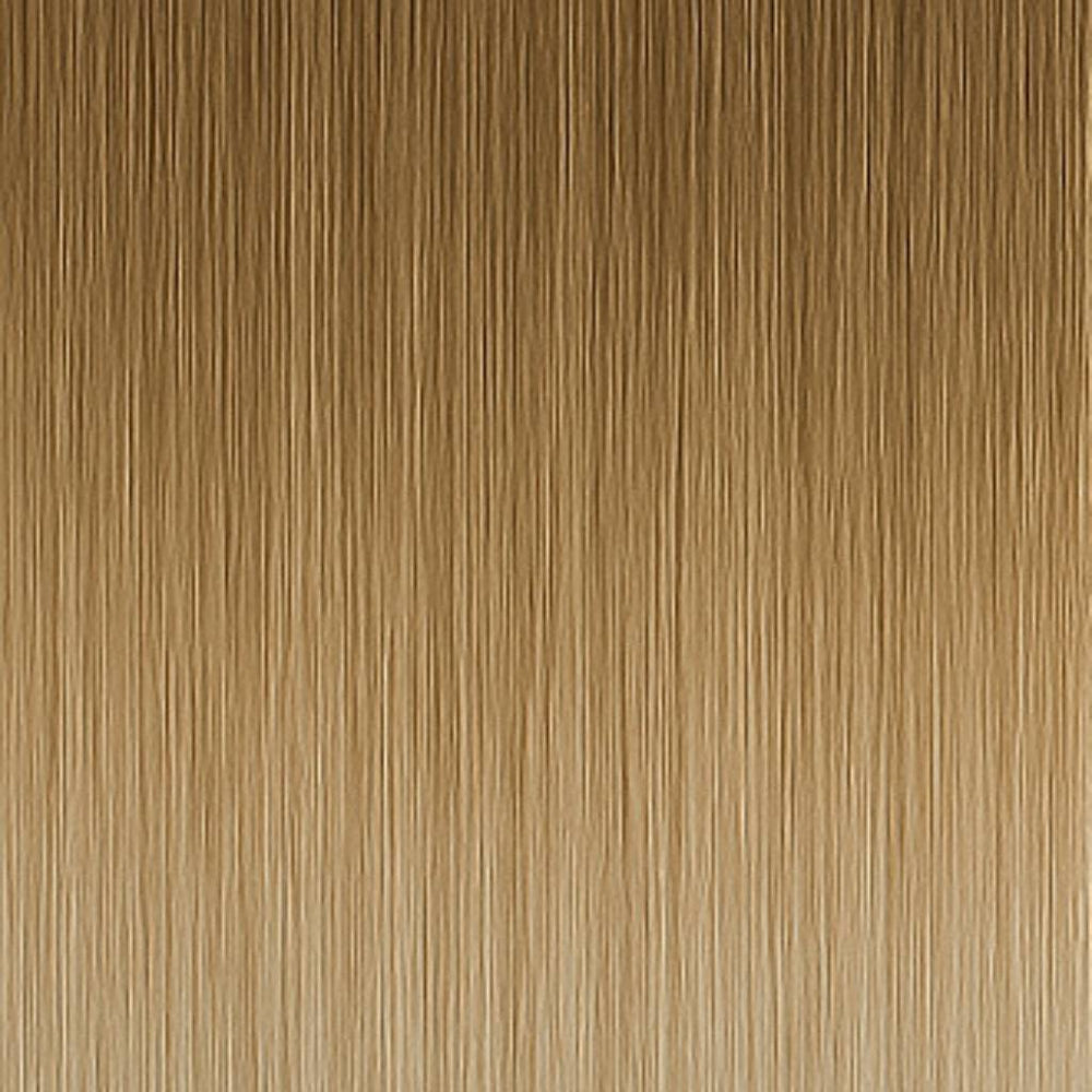 Färgprov - 8A/12AS Ash Mix Balayage