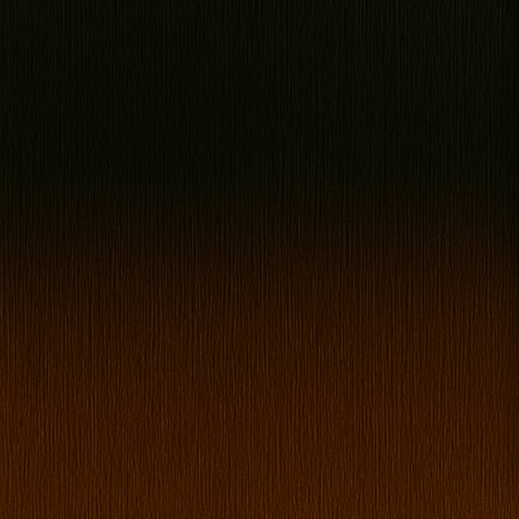 1N/4B Dark Mix Balayage