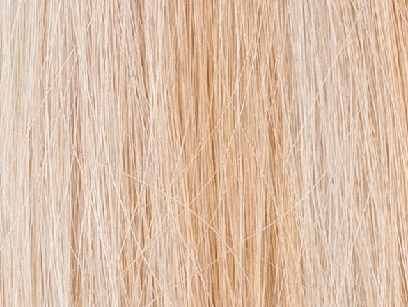 Poze Standard Keratin Extensions Dirty Blonde Mix 10B/12AS - 50cm