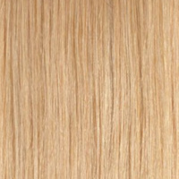 Färgprov - 10B Sand Blonde