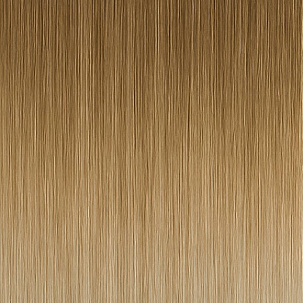 Färgprov - 8A/12AS Ash Mix Balayage